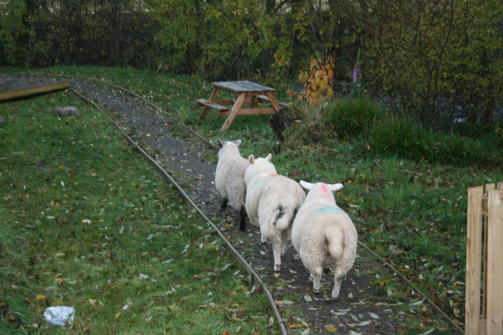 Bcc Lochness Hostel Pods Bearnock Buitenkant foto