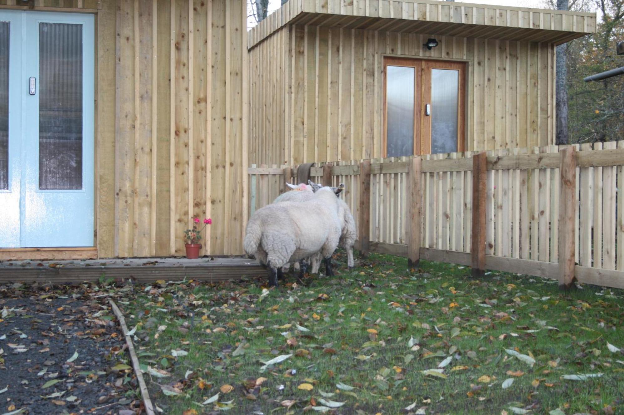 Bcc Lochness Hostel Pods Bearnock Buitenkant foto