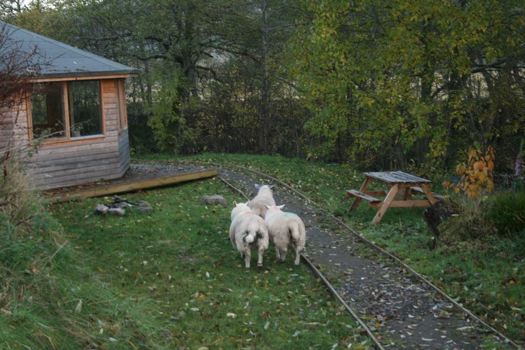Bcc Lochness Hostel Pods Bearnock Buitenkant foto
