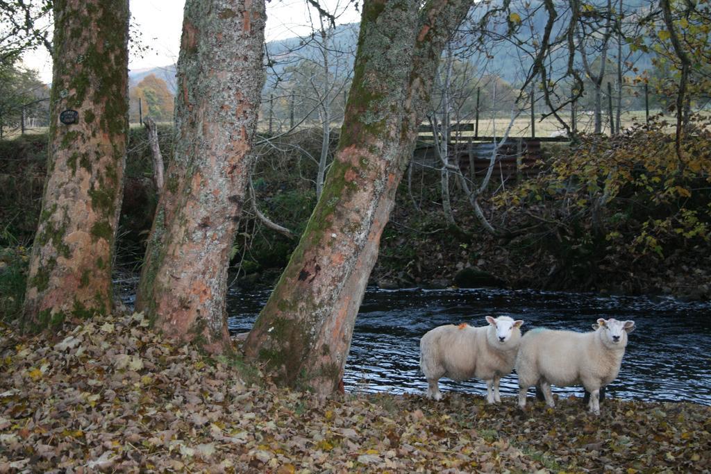 Bcc Lochness Hostel Pods Bearnock Buitenkant foto