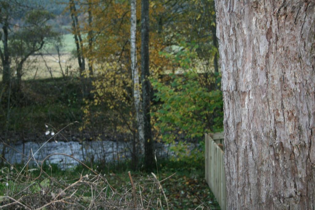 Bcc Lochness Hostel Pods Bearnock Kamer foto
