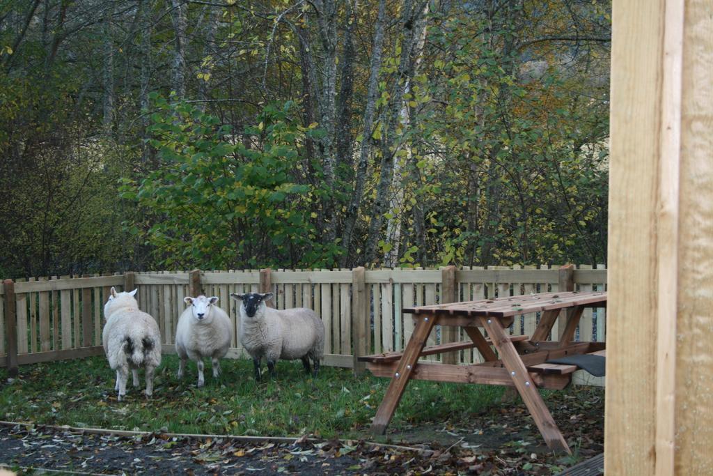 Bcc Lochness Hostel Pods Bearnock Kamer foto