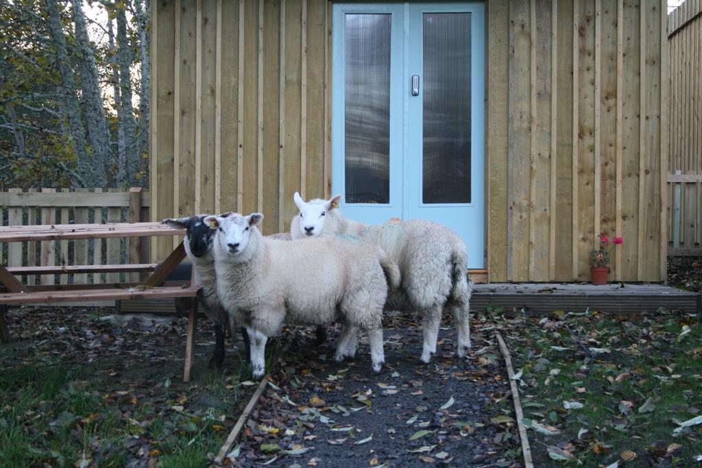 Bcc Lochness Hostel Pods Bearnock Kamer foto