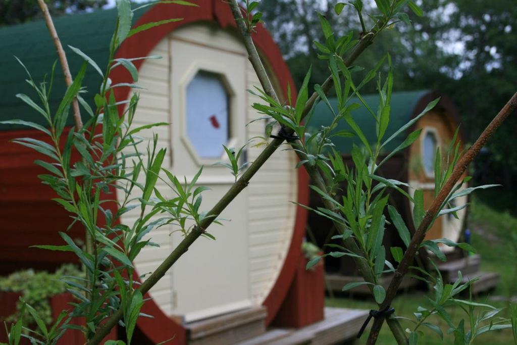 Bcc Lochness Hostel Pods Bearnock Kamer foto
