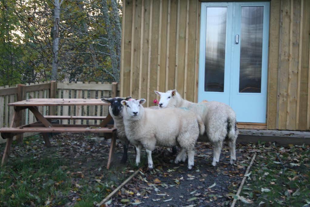 Bcc Lochness Hostel Pods Bearnock Buitenkant foto